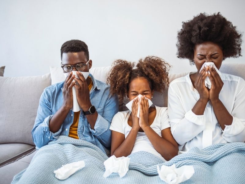 How Indoor Air Quality Solutions Support Health During Flu Season in Waverly Hall, GA